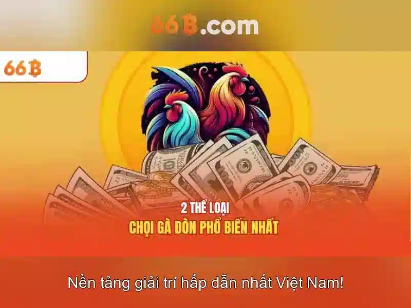 66b: Tổng quan về mô hình và ứng dụng