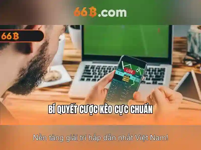 Kích thước và cấu trúc