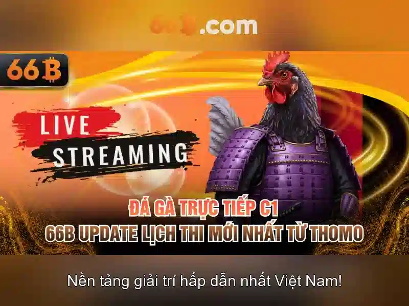 Kiến trúc và tham số\n\n