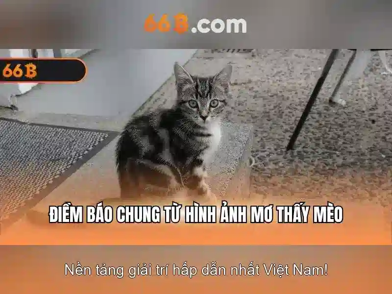 66b: tổng quan về một khái niệm công nghệ