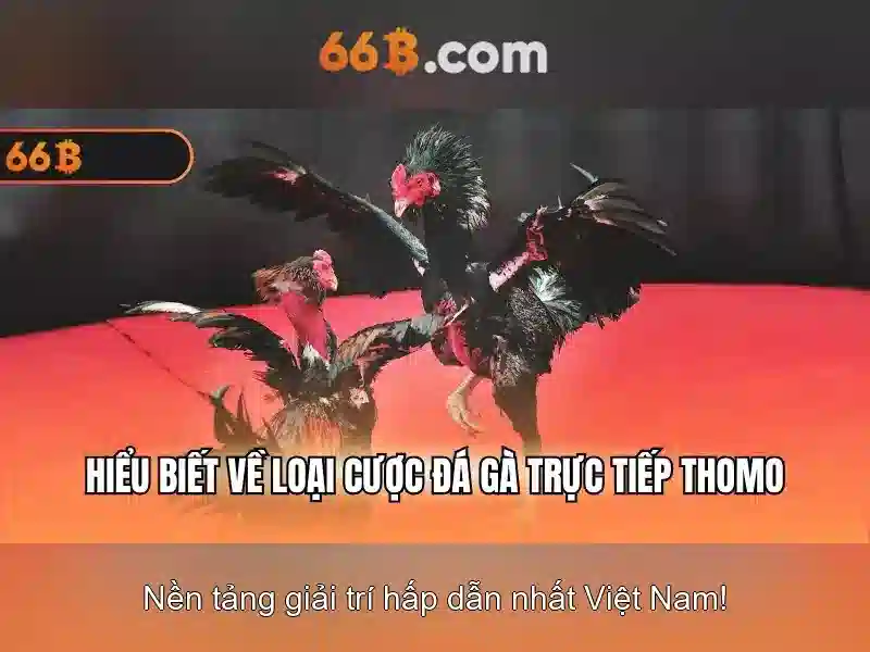 66b: khái niệm nền tảng cho dữ liệu nhanh