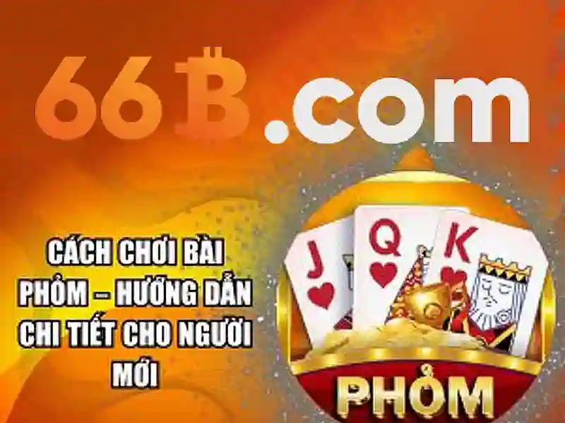 66b nguyễn sỹ sách p15 tân bình – Hướng tới trải nghiệm đỉnh cao và thương hiệu bền vững