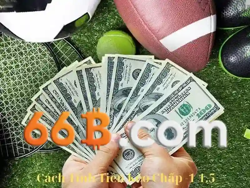 66b: Khám phá một khái niệm mới