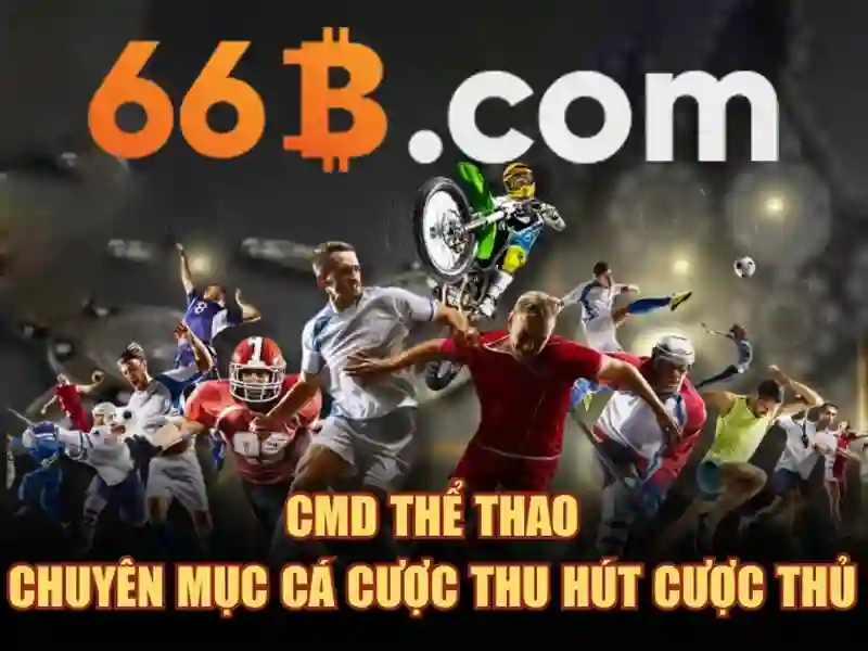 66b of the b – Tổng quan về chủ đề và giá trị cốt lõi