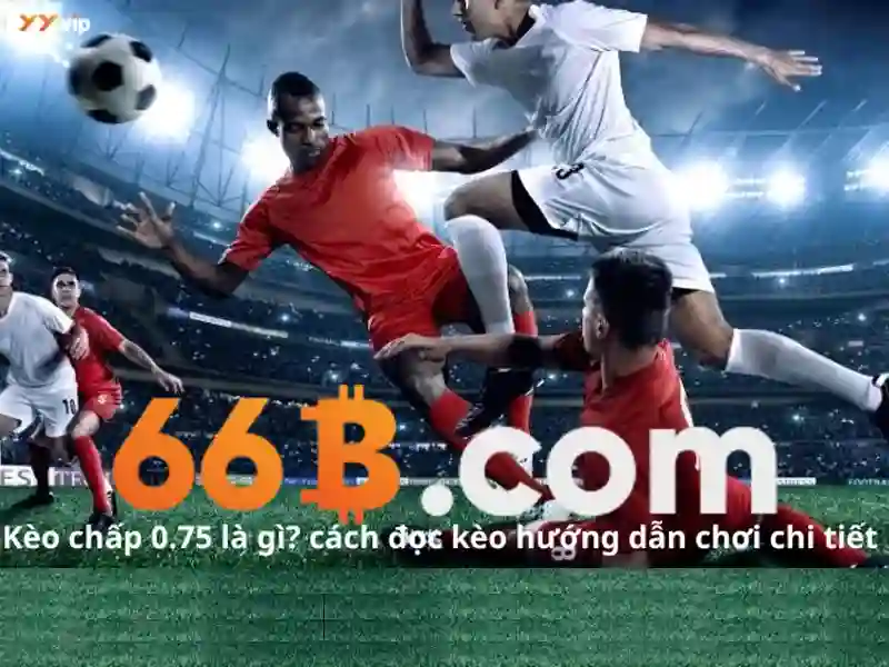 Tương lai của 66B và các hướng phát triển