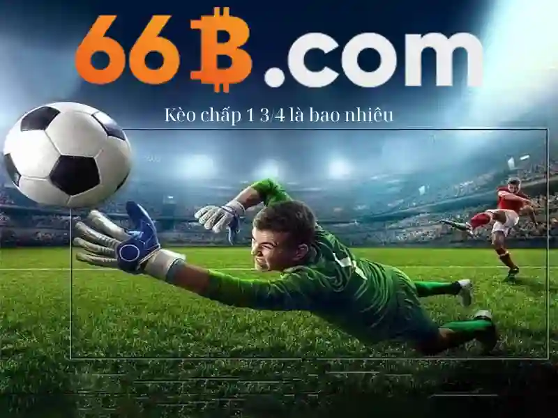 Kiến trúc và tham số của 66b