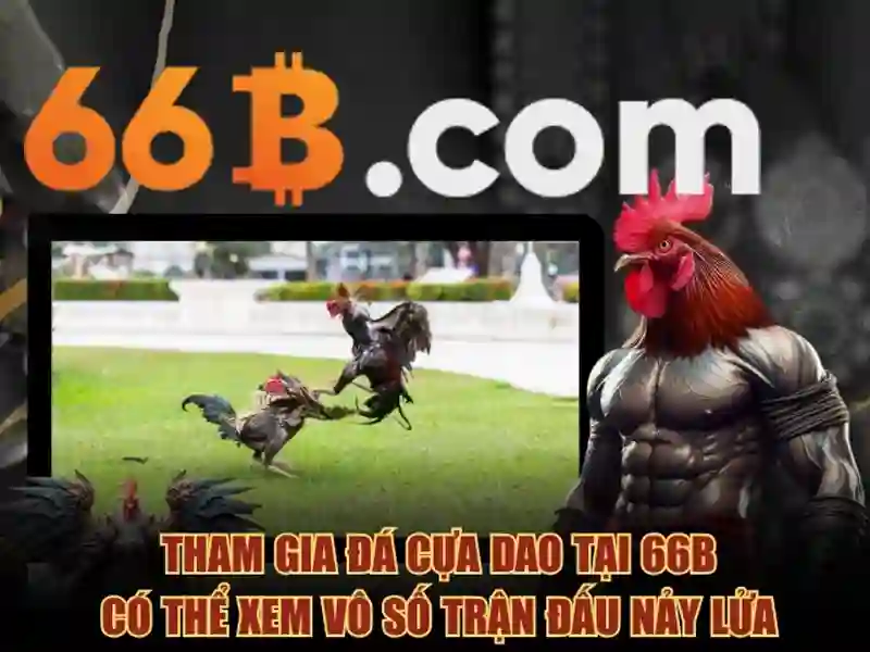 Sân 66b triều khúc – tổng quan chủ đề và giá trị cốt lõi