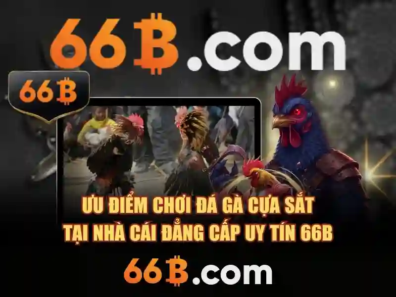 Cấu trúc và tham số của 66B\n