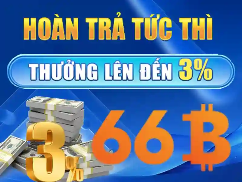 66b: khái niệm và ý nghĩa