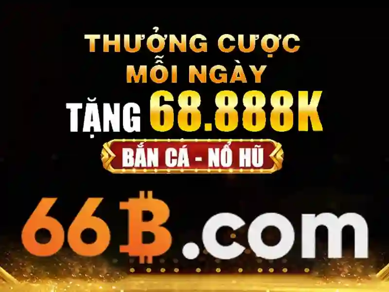 66B là gì?