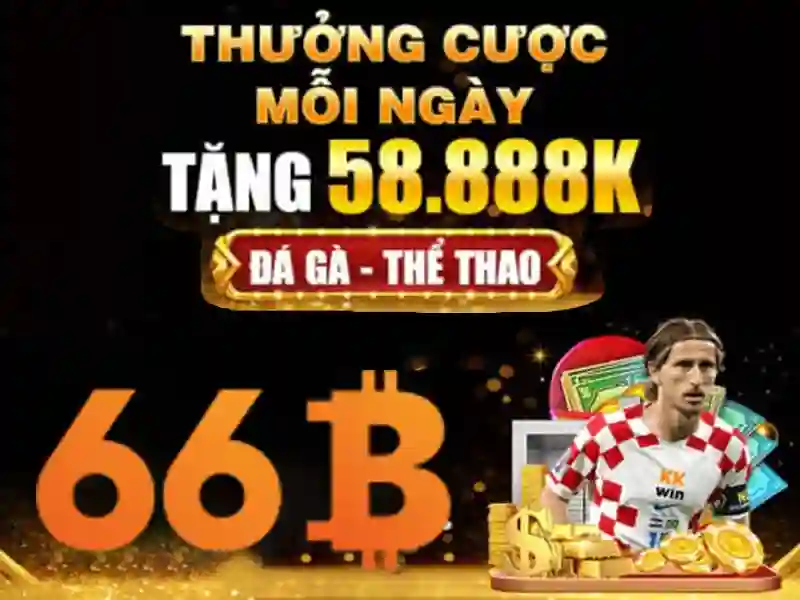 66b là gì?