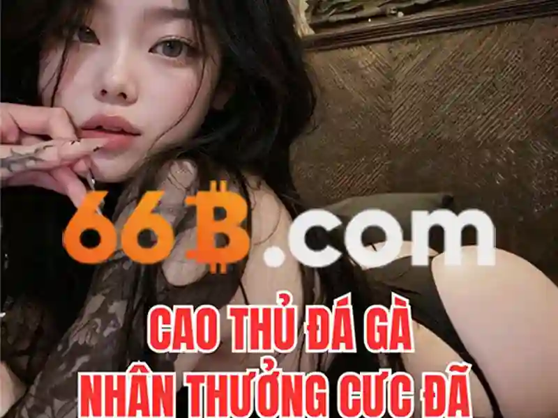 Trải nghiệm người dùng và phản hồi cộng đồng