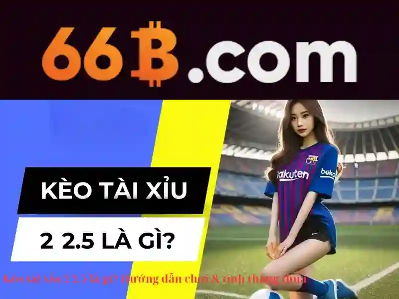 Giao diện live chat hỗ trợ khách hàng tại 66b